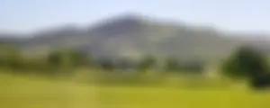 Newsbeitrag der Gemeinde